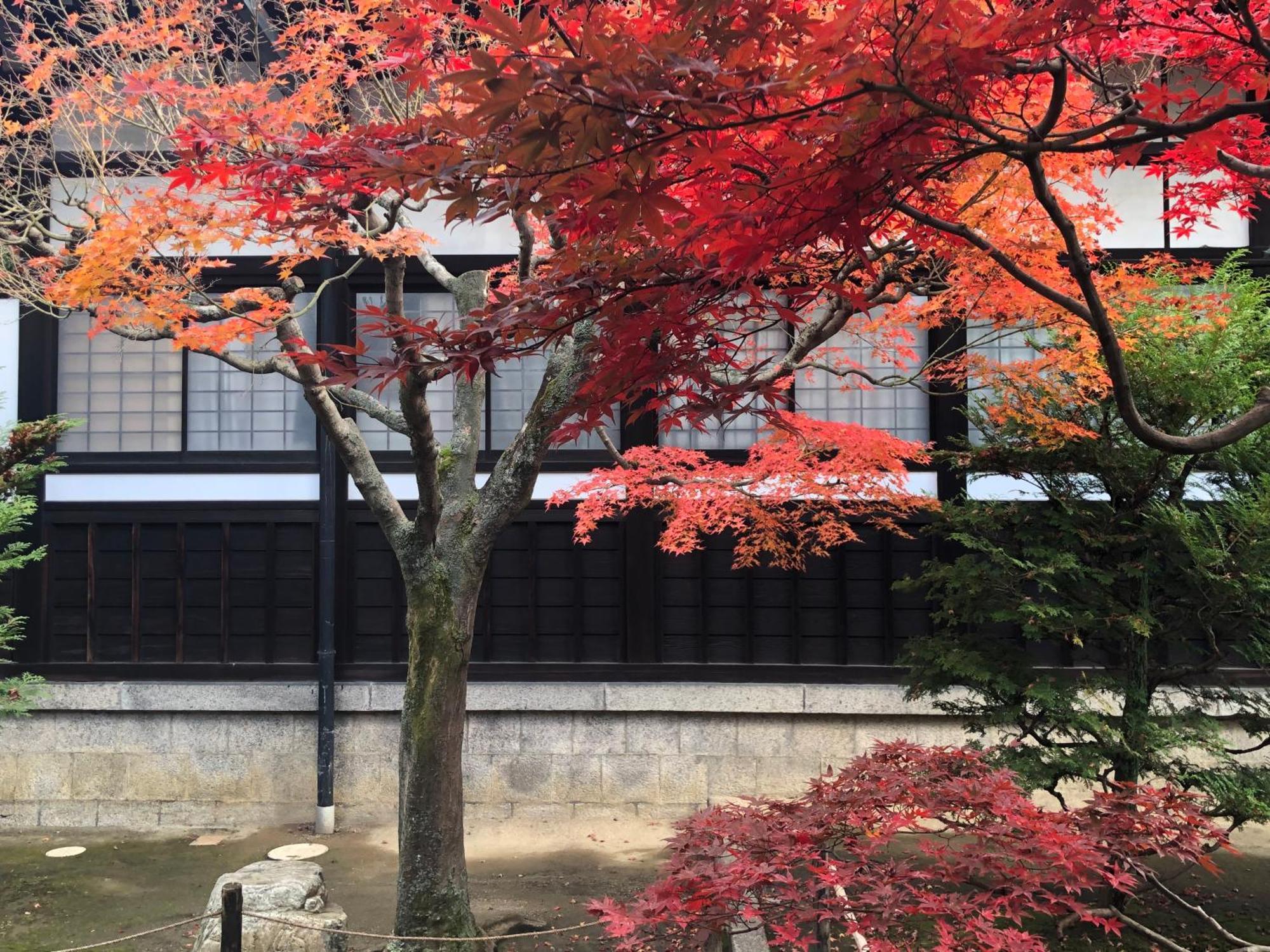 Inari-Home Kyoto Exterior photo